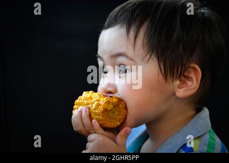 Tout-petit, 2 ans, multiethnique, eurasien, portrait, Manger du maïs grillé sur l'épi de maïs, Stuttgart, Bade-Wurtemberg, Allemagne Banque D'Images