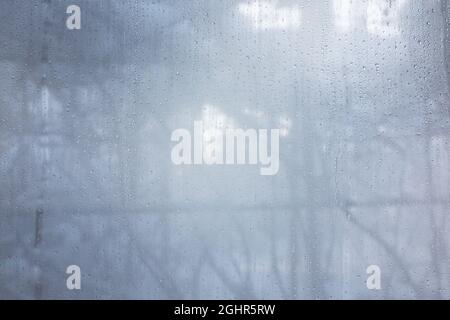 gouttes d'eau sur le verre brumeux dans la maison sur le fond de l'hiver Banque D'Images