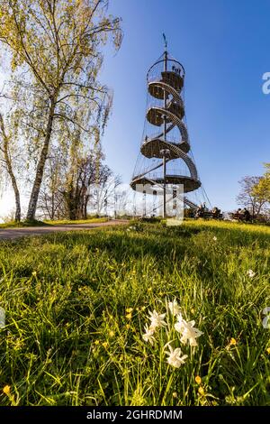 Tour Killesberg dans le parc Killesberg Heights, Killesberg, Stuttgart, Bade-Wurtemberg, Allemagne Banque D'Images