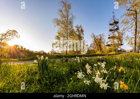 Tour Killesberg dans le parc Killesberg Heights, Killesberg, Stuttgart, Bade-Wurtemberg, Allemagne Banque D'Images