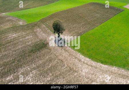 Image de drone, paysage agricole, ombre à couler d'arbre à feuilles caduques sur un champ près de Waldzell dans l'Innviertel, haute-Autriche, Autriche Banque D'Images