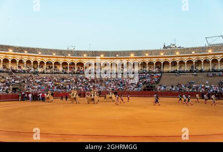 Entrée des toreros dans l'arène, corrida, arène Plaza de toros de la Real Maestranza de Caballeria de Sevilla, Sevilla, Andalousie, Espagne Banque D'Images