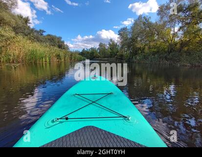 la planche sup flotte sur la surface de l'eau de la rivière en été Banque D'Images