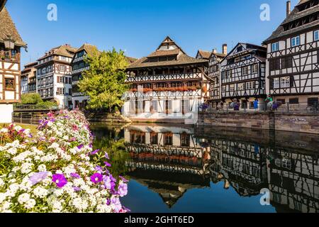 Maisons à colombages dans le quartier de la petite France, rivière Ill, Strasbourg, Alsace, France Banque D'Images