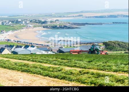 Garretstown, WestcCork, Irlande. , . Michael Roche, producteur de viande bovine et laitière, a profité pleinement du beau temps aujourd'hui en coupant l'ensilage, sa deuxième coupe de l'année. Avec Garretstown Beach en arrière-plan, Michael a utilisé un tracteur Deutz-Fahr TTV 630 et des tondeuses avant et arrière Kvernland. Crédit : AG News/Alay Live News Banque D'Images