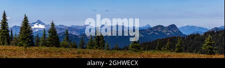 Forêt alpine et prairie, Heather Trail, Manning Park, Colombie-Britannique, Canada Banque D'Images