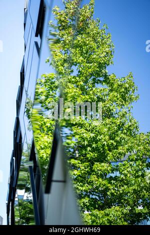 façade d'un garage avec miroirs réfléchissants Banque D'Images