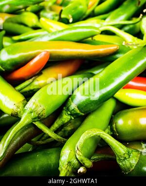 Le Chilis « Padron » vert chaud est en vente au Festival du Chili du manoir de Waddesdon. Banque D'Images