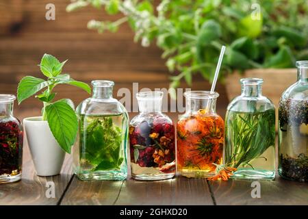 Bouteilles d'huile essentielle ou infusion d'herbes et de baies - monarda bergamote, menthe, calendula, sauge, origan, plantes de guérison en arrière-plan. Alternatif Banque D'Images