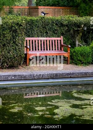 Vieux jardin anglais traditionnel Banque D'Images