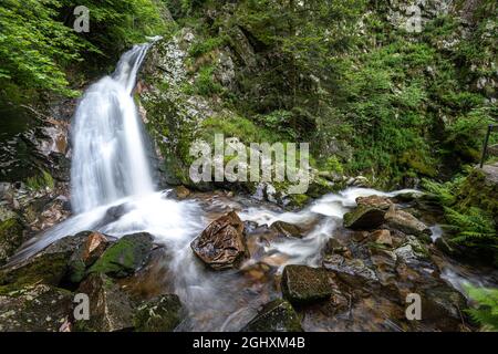 Chutes de Lierbach dans la Forêt Noire, Allemagne Banque D'Images