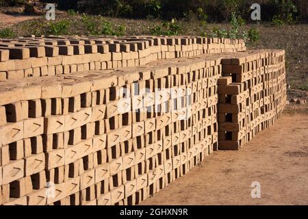 Les briques faites à la main de l'argile humide et de la boue sont conservées pour sécher avant le processus de combustion. Production traditionnelle de briques d'argile en Inde. Banque D'Images