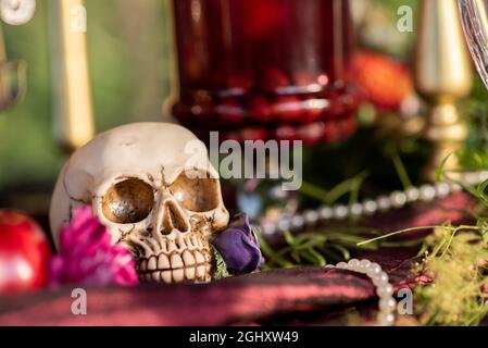 Faux crâne placé sur la table pour la fête d'Halloween Banque D'Images