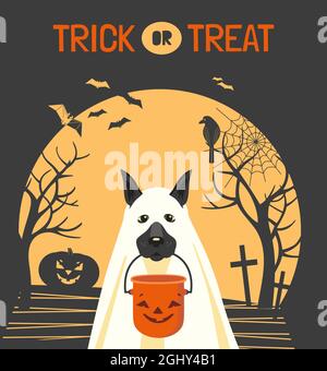 Chien en costume fantôme et seau d'Halloween Illustration de Vecteur