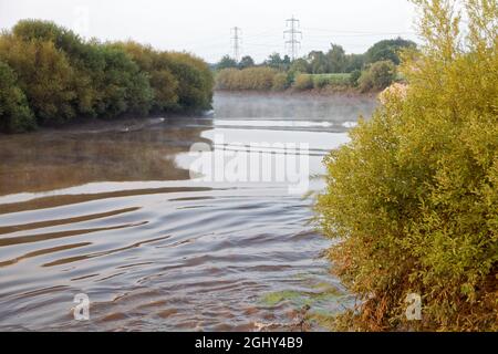 Le Trent Aegir en aval de Gainsborough Banque D'Images