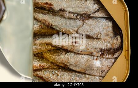 Ouvrir boîte de sardines avec couvercle ouvert. Gros plan sur la photo vue de dessus. Banque D'Images