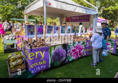 La vente de bulbes au RHS Garden Wisley Flower Show 2021, le spectacle annuel dans le légendaire RHS Garden à Wisley, Surrey, lors d'une journée ensoleillée en septembre Banque D'Images