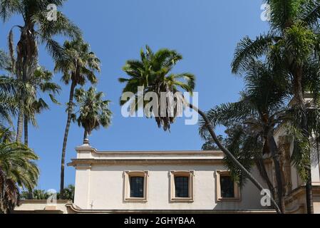 SAN DIEGO, CALIFORNIE - 25 AOÛT 2021 : palmiers au théâtre Casa del Prado dans le parc Balboa. Banque D'Images