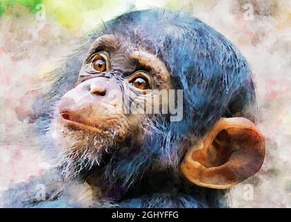 Gros plan de la peinture numérique aquarelle d'un joli petit chimpanzé Banque D'Images