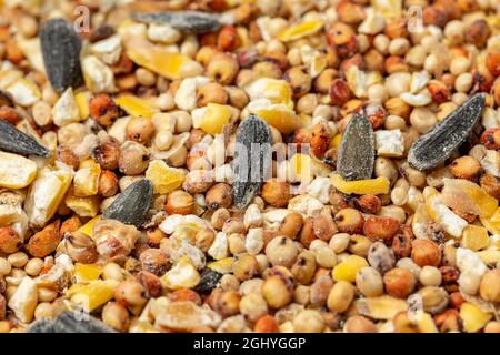 Gros plan du mélange de graines de bouleau de maïs fissuré, de graines de tournesol et de millet. Concept de l'alimentation d'oiseaux de cour, nourriture d'oiseaux et faune Banque D'Images