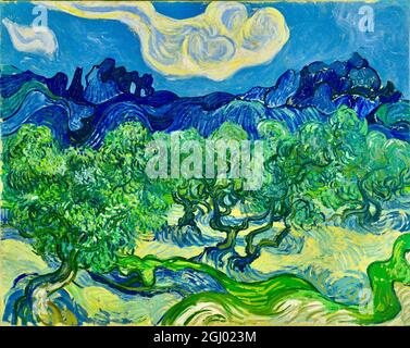 Œuvre d'art Vincent van Gogh intitulée The Olive Tess - 1889 Banque D'Images