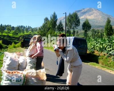 une femme photographe documente un agriculteur qui récolte des carottes Banque D'Images