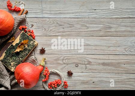 Décorations de Thanksgiving. Citrouilles Hokkaido orange, baies de rowan, pommes, cannelle et cadre faits à partir de décorations d'automne. Flat lay, vue de dessus avec copie Banque D'Images