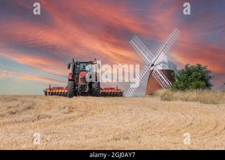 Halnaker Windmill dans le parc national de South Downs à West Sussex, Angleterre, Royaume-Uni, avec un tracteur rouge travaillant dans le champ de maïs, au coucher du soleil pendant l'été Banque D'Images