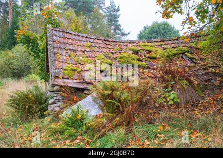 Ancienne cave à racines dans un paysage rural d'automne Banque D'Images