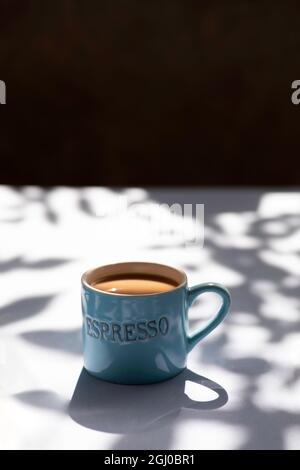 Tasse de café sur fond gris, une tasse de café avec crème. Motif d'ombre à feuilles Banque D'Images