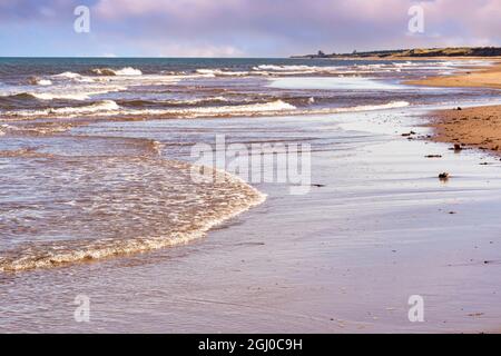 Voies de promenade sur une plage de la rive nord de l'Île-du-Prince-Édouard. Banque D'Images