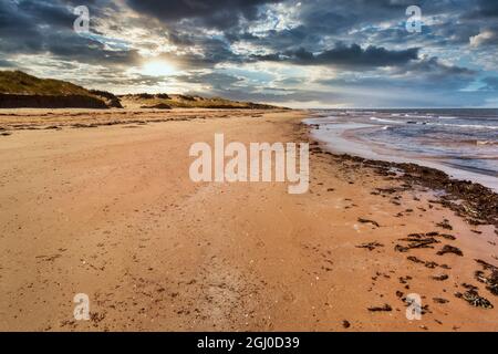 Voies de promenade sur une plage de la rive nord de l'Île-du-Prince-Édouard. Banque D'Images