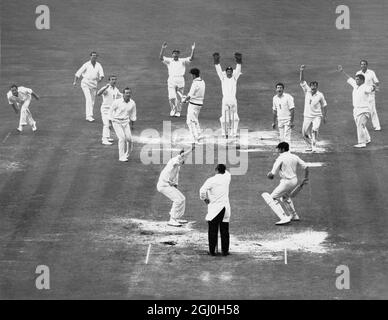 L'Angleterre remporte le cinquième et dernier test par 226 tours. Jubilation d'Angleterre comme arbitre, Charlie Elliott lève le doigt pour donner l'Australie John Inverarity LBW à Derek Underwood. Toute l'équipe d'Engalnd peut être vu de L à R: Illingworth , Graveney , Edrich , Dexter , Colin Cowdrey , Sous-bois , Knot , neige , marron , Milburn , Et Basil d'Oliveira Angleterre contre l'Australie l'Oval , Kennington - 27 août 1968 Banque D'Images