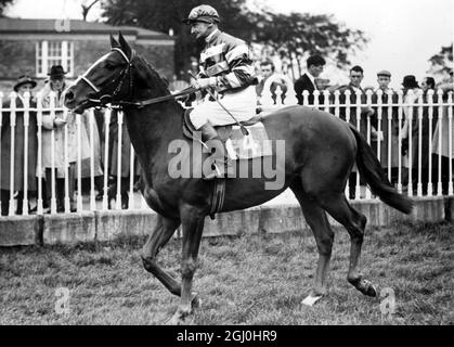 Dublin, Irlande : ''Larkspur'', avec le jockey G. Bougoure détenu par M. Raymond Guest et formé par Vincent O'Brian à Cashel, Co Tipperary. Il est inscrit pour le Derby irlandais de 1962 à courir à la Curragh, Co Kildare, le prix pour lequel l'argent est dit être un record du monde. 28 novembre 1961 Banque D'Images