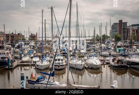 Yachts de luxe amarrés à Humber Dock Marina, Kingston upon Hull, East Yorkshire, Royaume-Uni Banque D'Images