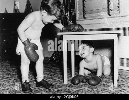 Bataille des poids-bébés trouver dans son bas de Noël une paire de gants de boxe junior de régulation, David (Butch) McLane, junior, a rapidement lancé un défi à son compagnon de jeu, Gary (Bruiser) Smith pour le championnat de poids-bébé de long Island, États-Unis. Le salon de la maison du McLane était le ring. Expositions de photos: Un des garçons cherche refuge sous une petite table et refuse l'invitation de son adversaire de «sortir et prendre» Banque D'Images