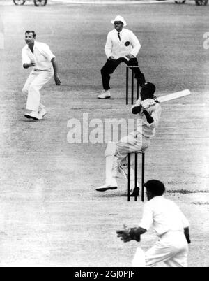 Australie vs Antilles - 14 décembre 1960 Wesley Hall, qui a pris neuf bickets dans le match, a frappé Ian Meckiff marquant 50 courses précieuses dans la première égalité dans un match d'essai depuis la première Guerre mondiale. Brisbane, Queensland, Australie Banque D'Images