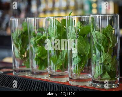 Cuba, la Havane, menthe dans des verres au bar, avant de mélanger les cocktails Mojito. Banque D'Images