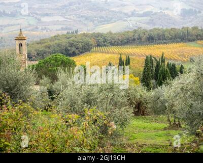 Europe, Italie, Chianti. Pieve di Santa Maria Novella près de Radda in Chianti. Banque D'Images