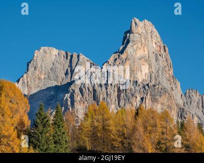 Cimon Della Pala et Cima della Vezzana. Sommets surplombant la Val Venegia vus de Passo Rolle. Groupe Pala (Pale di San Martino) dans les dolomites de T Banque D'Images