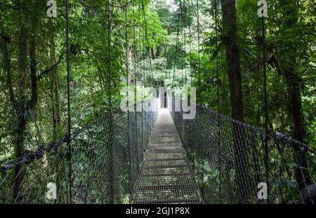 Mistico Arenal Hanging Bridges Park à Arenal, Costa Rica. Banque D'Images