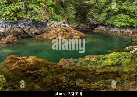 États-Unis, Alaska, île de Chichagoof. Basket Creek pittoresque. Crédit : Don Paulson / Galerie Jaynes / DanitaDelimont.com Banque D'Images