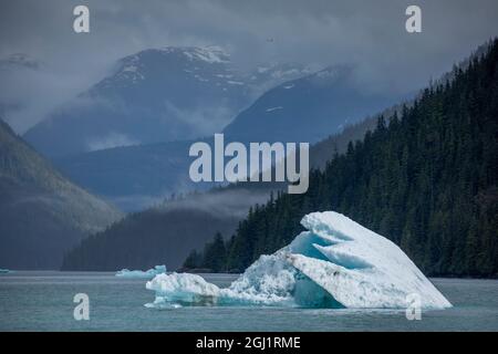 États-Unis, Alaska, Tracy Arm-Fords Terror Wilderness, iceberg glacial flottant dans la baie de Holkham avec des montagnes bordant Tracy Arm à distance Banque D'Images