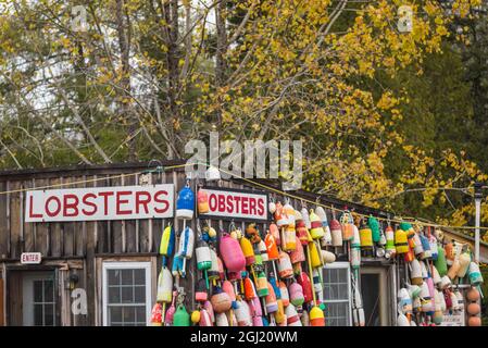 États-Unis, Maine, Mt. Desert Island. Eden, restaurant traditionnel de fruits de mer de homard Shack à l'automne. Banque D'Images