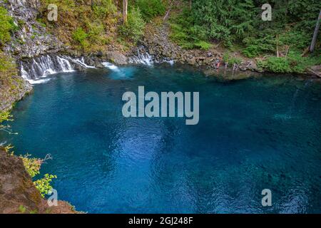 Tamolitch Falls Blue Pool sur la rivière McKenzie National Wild and Scenic, Oregon, Cascade Range. Banque D'Images