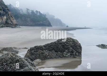 États-Unis, Oregon. Hug point State Park, plage brumgy. Banque D'Images