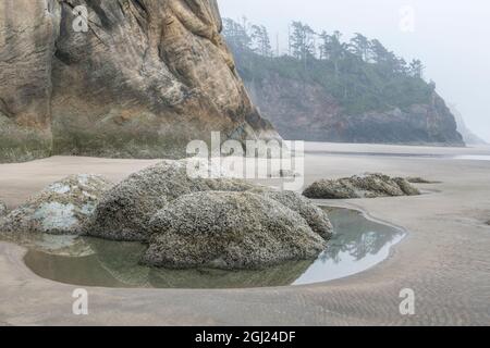 États-Unis, Oregon. Hug point State Park, plage brumgy. Banque D'Images