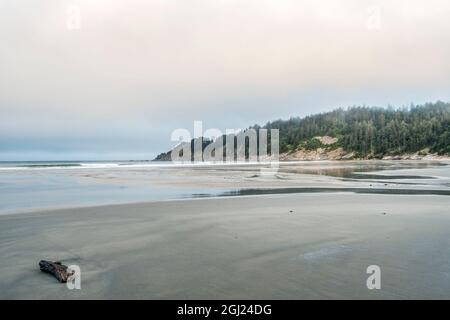 États-Unis, Oregon. Oswald West State Park, Short Sand Beach. Banque D'Images