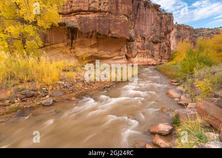 États-Unis, Utah, parc national de Capitol Reef. Rivière Fremont et arbres en automne. Crédit : Cathy & Gordon Illg / Jaynes Gallery / DanitaDelimont.com Banque D'Images