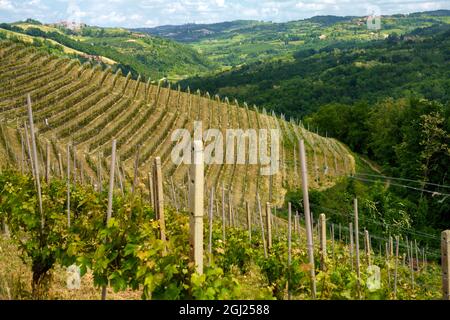 Paysage rural au printemps à Langhe près de Dogliani, province de Cuneo, Piémont, Italie, site du patrimoine mondial de l'UNESCO. Banque D'Images